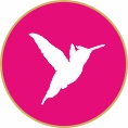 icon kolibri pink